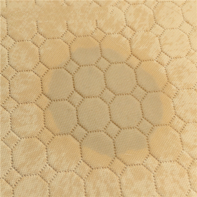 Tapis d'Entraînement Absorbant Réutilisable pour Chien - Lavable