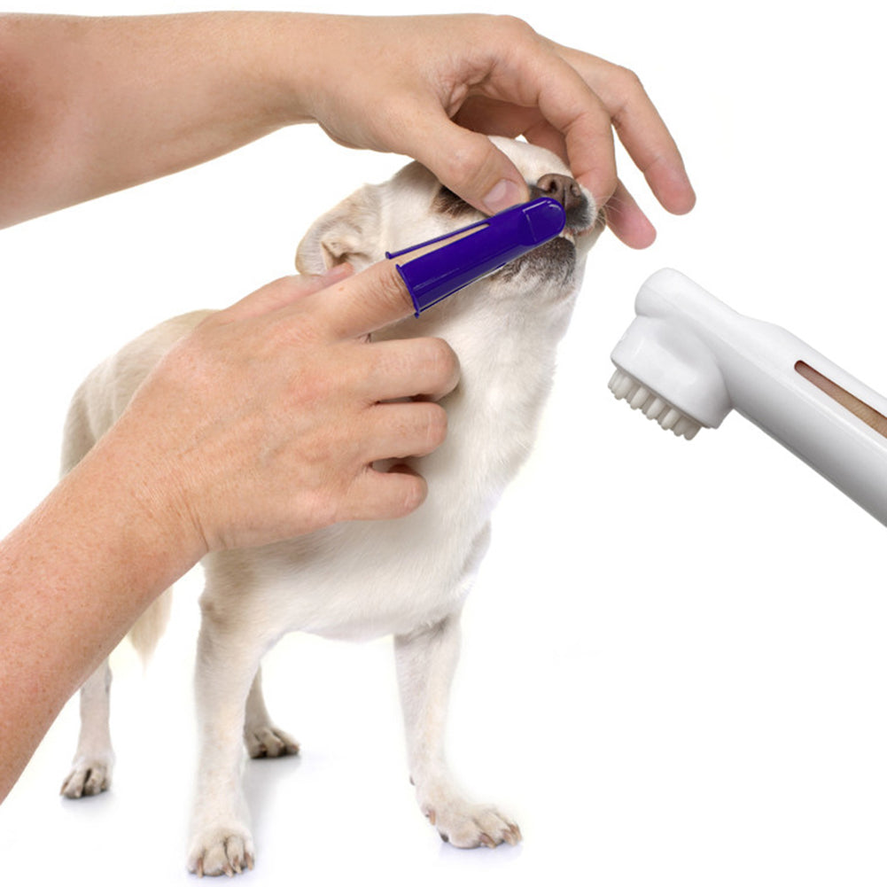 Dentifrice Saveur Bœuf et Brosse à Dents pour Chien - Hygiène Bucco-Dentaire