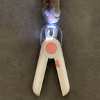 Utilisation du coupe-ongles LED sur patte d'animal
