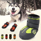 Grand chien portant des chaussures de protection