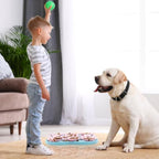 Gamelle Ralentisseur Silicone pour Chien - Tapis Léchage Anti-Anxiété avec Ventouse