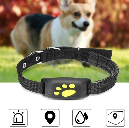 Traceur GPS pour Animaux - Localisation en Temps Réel Chien Chat