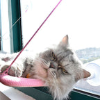 Hamac Fenêtre Chat avec Ventouses - Lit Suspendu Respirant 53x32cm