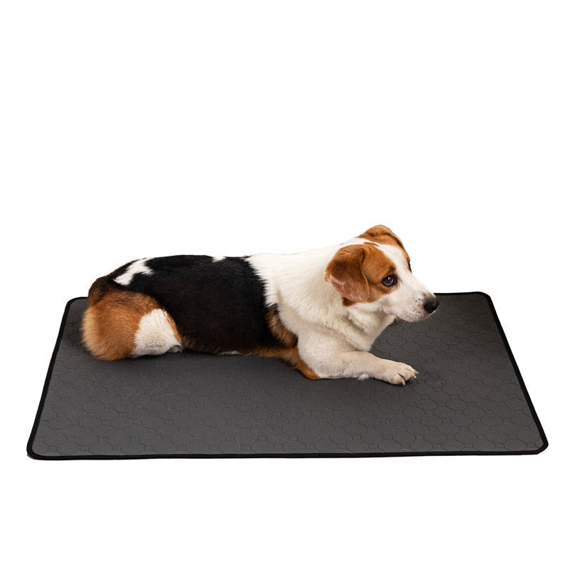 Tapis d'Entraînement Absorbant Réutilisable pour Chien - Lavable