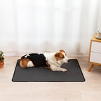 Tapis d'Entraînement Absorbant Réutilisable pour Chien - Lavable