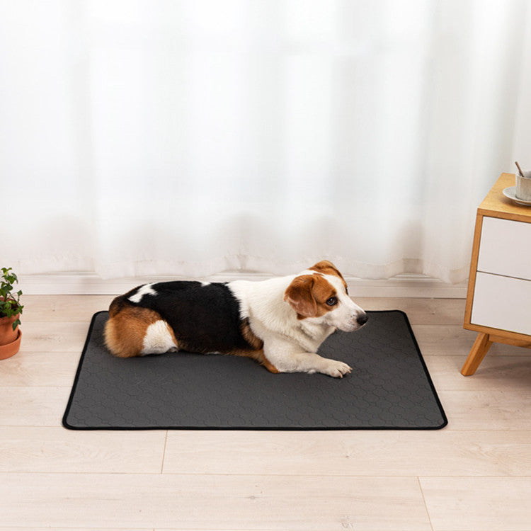 Tapis d'Entraînement Absorbant Réutilisable pour Chien - Lavable