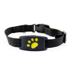 Traceur GPS pour Animaux - Localisation en Temps Réel Chien Chat