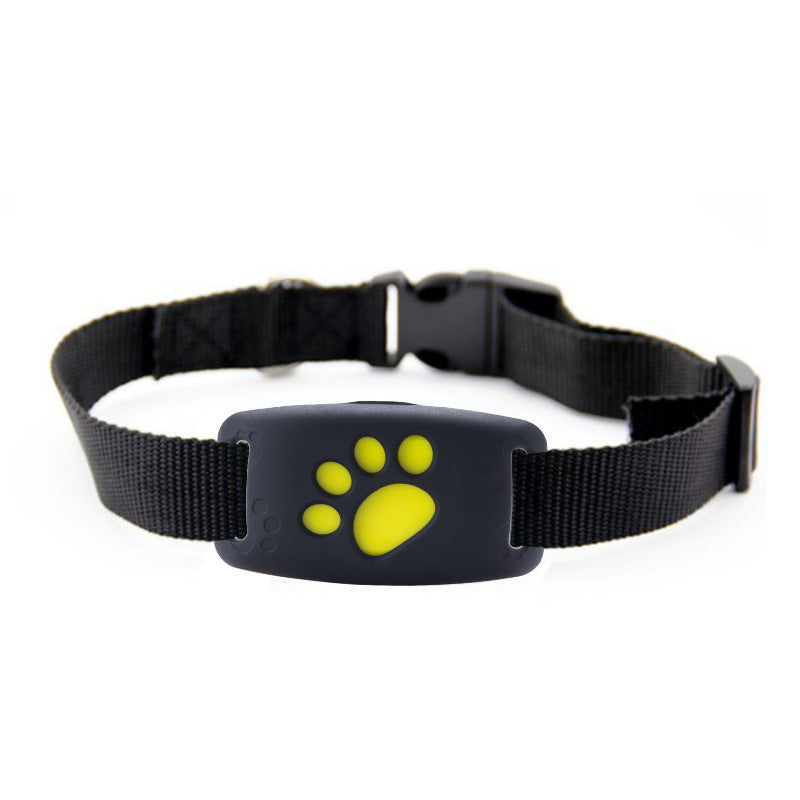 Traceur GPS pour Animaux - Localisation en Temps Réel Chien Chat