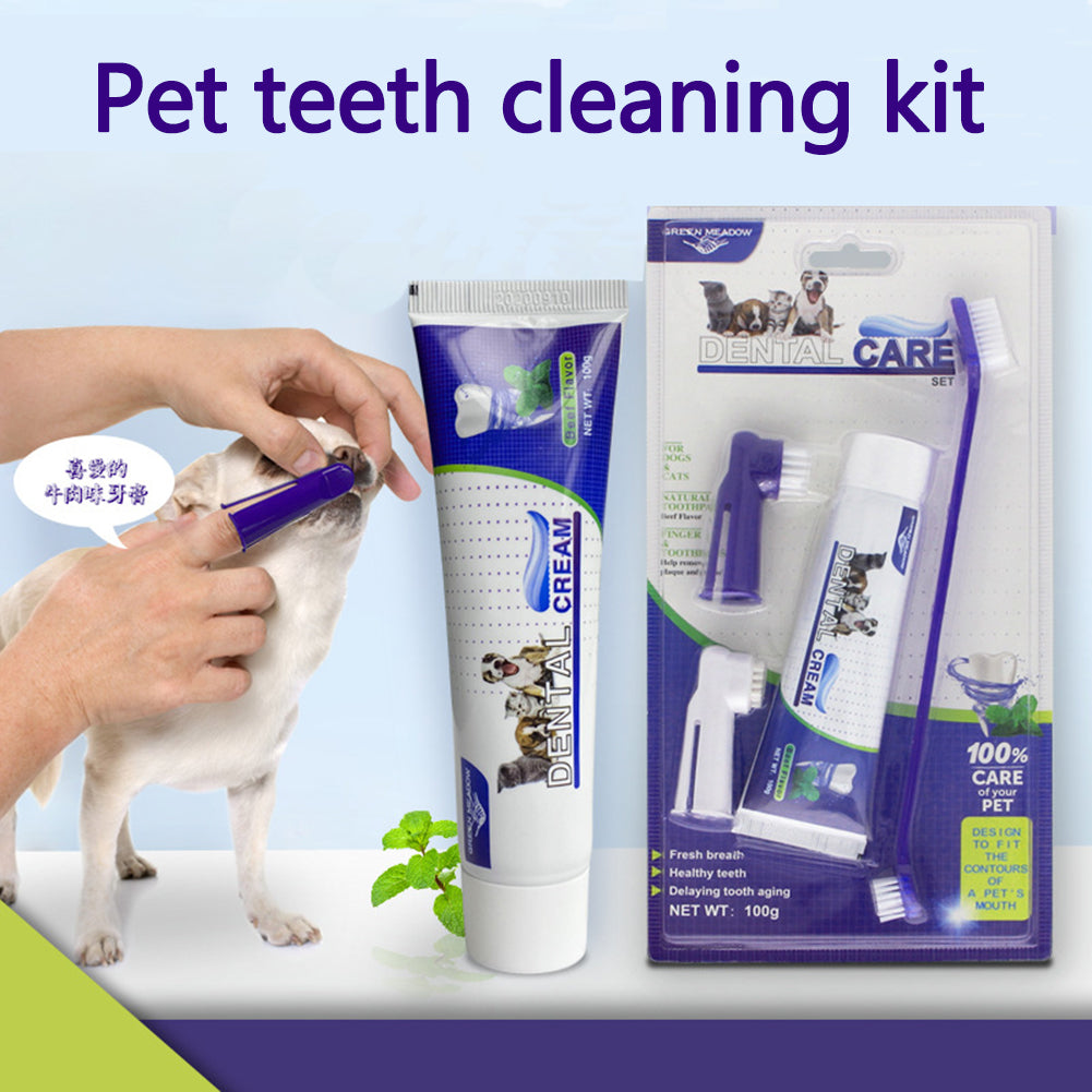Dentifrice Saveur Bœuf et Brosse à Dents pour Chien - Hygiène Bucco-Dentaire
