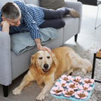 Gamelle Ralentisseur Silicone pour Chien - Tapis Léchage Anti-Anxiété avec Ventouse