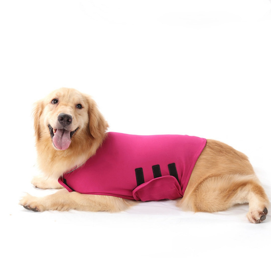 Veste Anti-Anxiété pour Chien Chat - Vêtement Apaisant Compression Douce