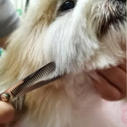 Ciseaux de Toilettage Professionnels pour Chien Chat - Kit Complet avec Peigne