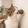Boules Cataire Chat Nettoyage Dents - Catnip Naturel