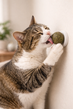Boules Cataire Chat Nettoyage Dents - Catnip Naturel