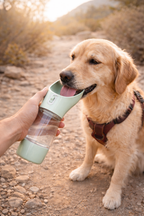 Bouteille d'Eau Portable pour Chien avec Bol - Voyage & Randonnée
