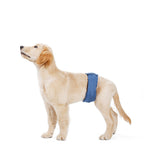 Culotte hygiénique lavable respirante pour chienne en chaleur