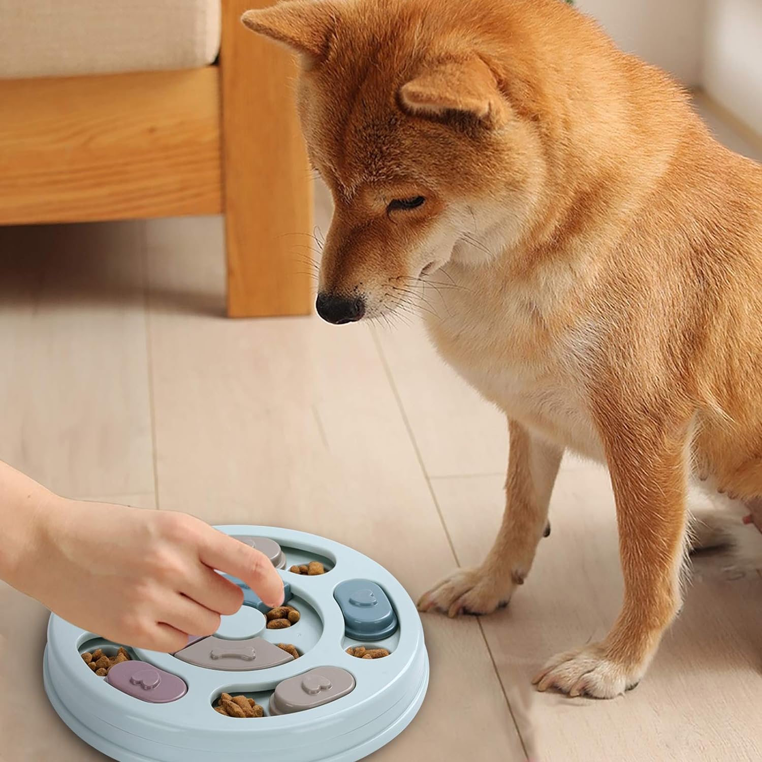 Jouet Puzzle Distributeur Nourriture pour Chien - Entraînement QI et Enrichissement Mental