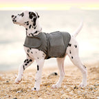 Veste Anti-Anxiété Chaude pour Chien - Gilet Apaisant Hiver
