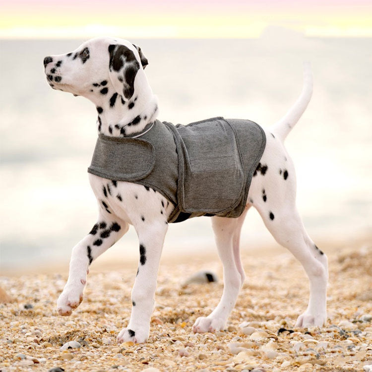 Veste Anti-Anxiété Chaude pour Chien - Gilet Apaisant Hiver
