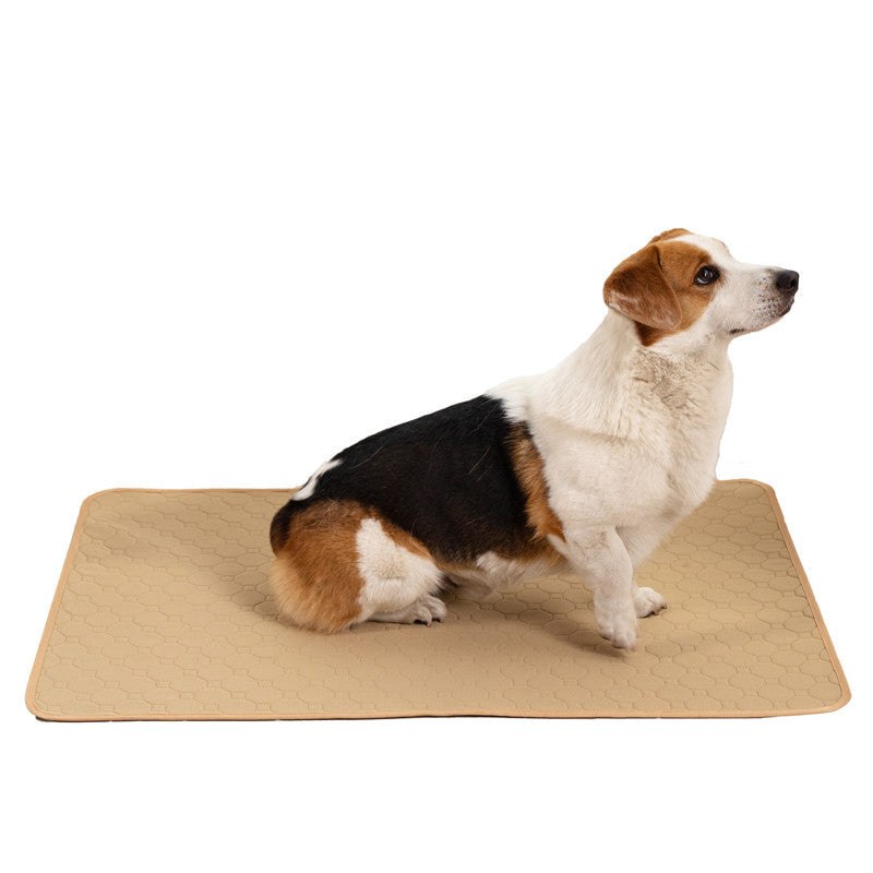 Tapis d'Entraînement Absorbant Réutilisable pour Chien - Lavable