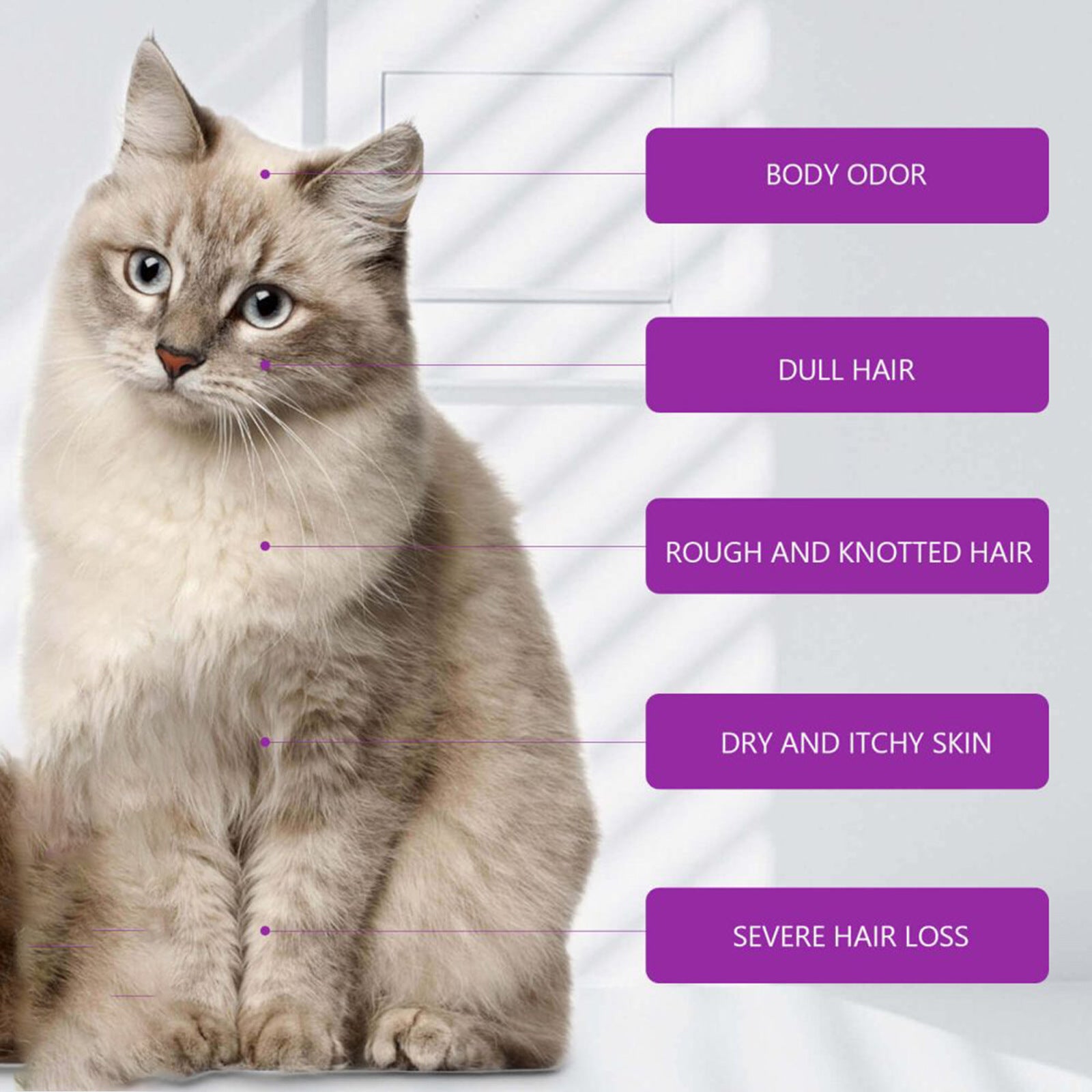 Shampoing pour Chien Anti-Démangeaisons - Pelage Doux Sans Nœuds